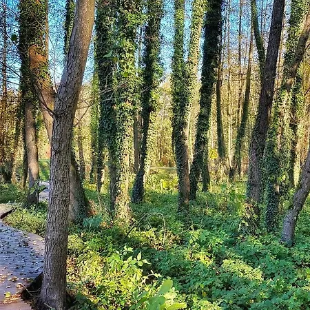 Kala Wellness Ξενοδοχείο με διαμερίσματα 4*