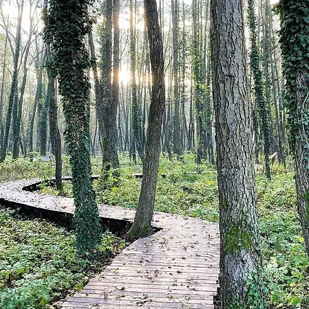 Kala Wellness Ξενοδοχείο με διαμερίσματα 4*