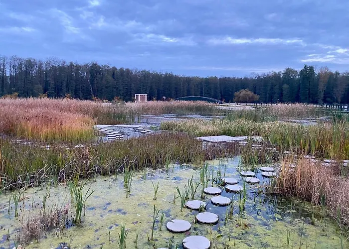 Kala Wellness 아파트호텔