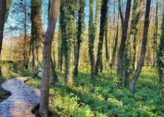 Kala Wellness Apart Otel 4*