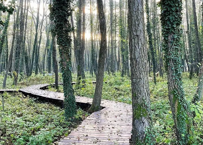 Kala Wellness Apart Otel 4*